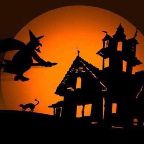 Meet your Posher, Patti - Picture 1 of 1